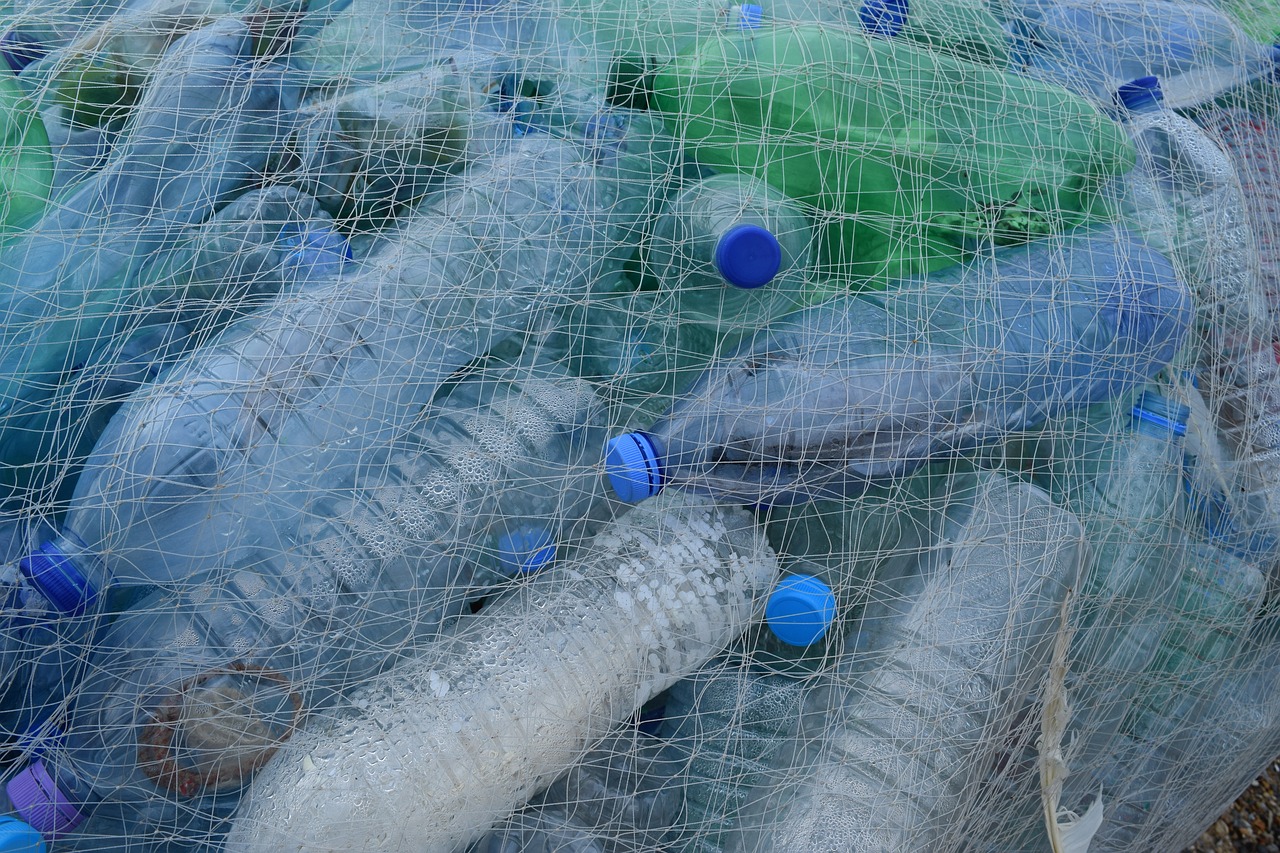 Debunking the Misconceptions About Biodegradable Plastics